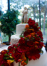 Adriana and Alex Awesome Wedding